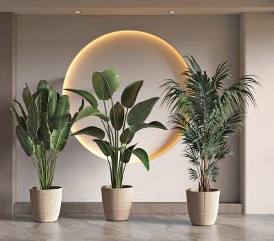 盆栽组合3D模型下载